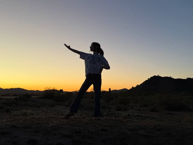 Sonoran Desert Sunset Overlook - Image 1