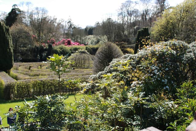 Seaforde Gardens Maze - Image 1