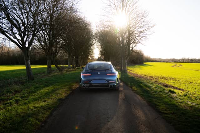 Essex Countryside Tree Tunnel - Image 1