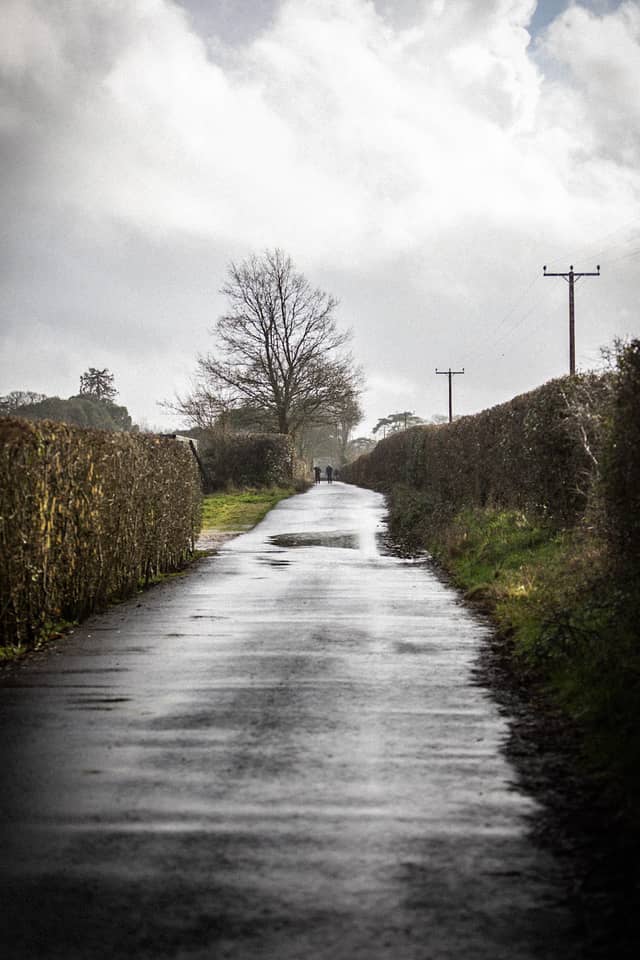 Hampshire Country Lane - Image 1