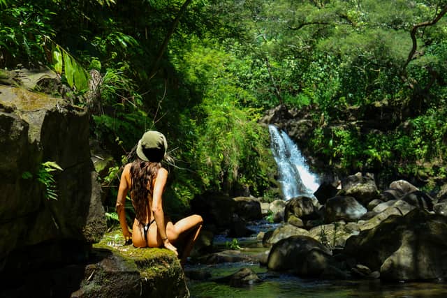 Kipahulu Jungle Waterfall - Image 1