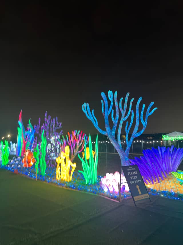 Grand Prairie Light Festival - Image 1