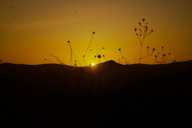Black Hill Trail Overlook - Image 1