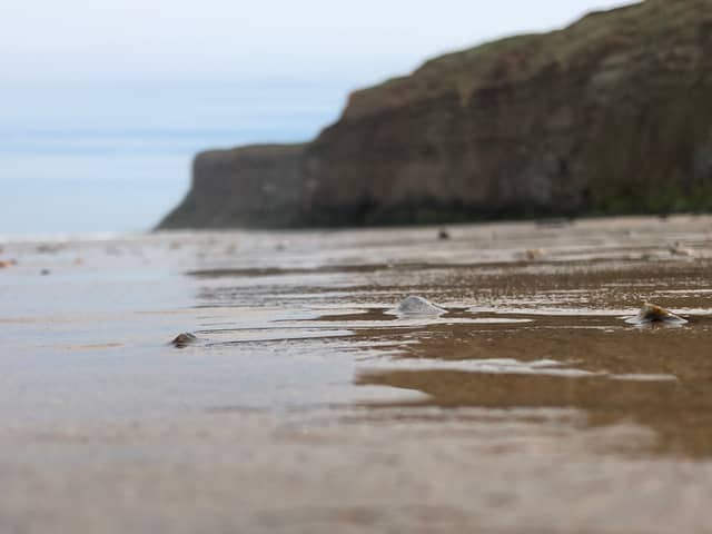Saltburn Beach Cliffs - Image 1