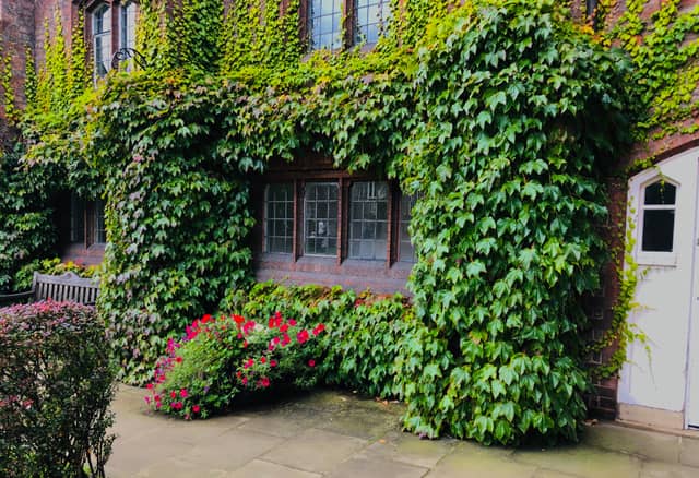 St. John's Crescent Ivy Facade - Image 1