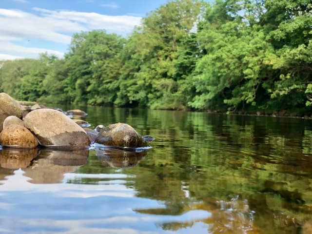 River Tees Bank - Image 1