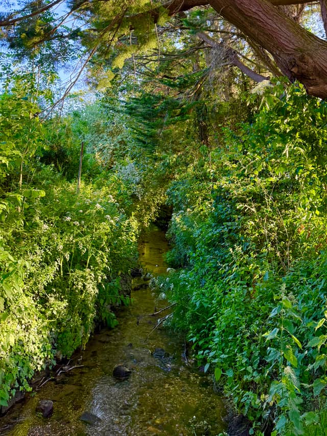Shillingstone Countryside Stream - Image 1