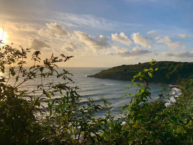 Fishcombe Cove Overlook - Image 1