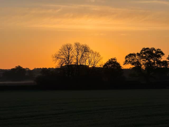Tarrant Keyneston Countryside - Image 1