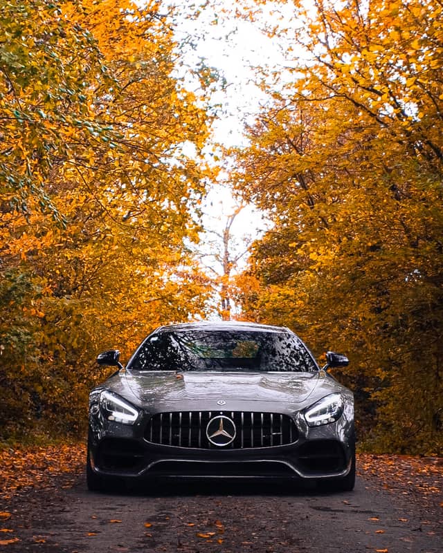 Autumn Woodland Drive, Brittany - Image 1