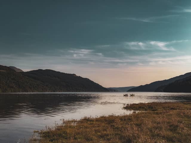 Loch Fyne Shoreline - Image 1