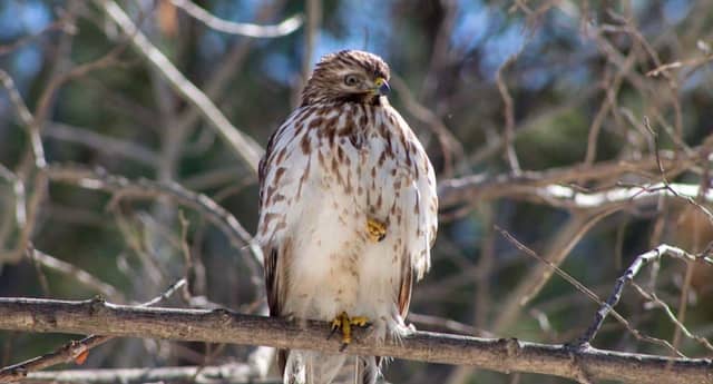 Swamp Rabbit Trail - Image 1