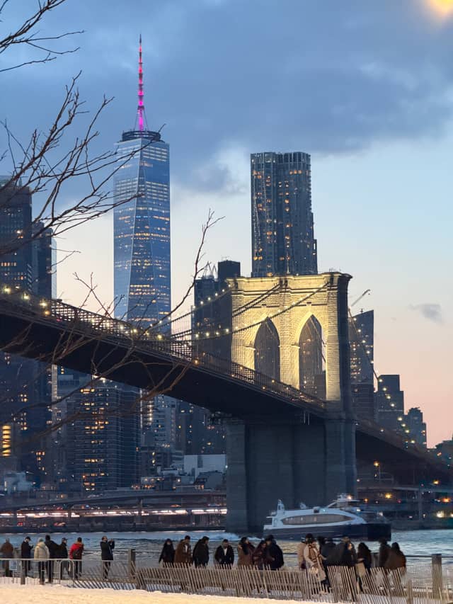Brooklyn Bridge Park Viewpoint - Image 1