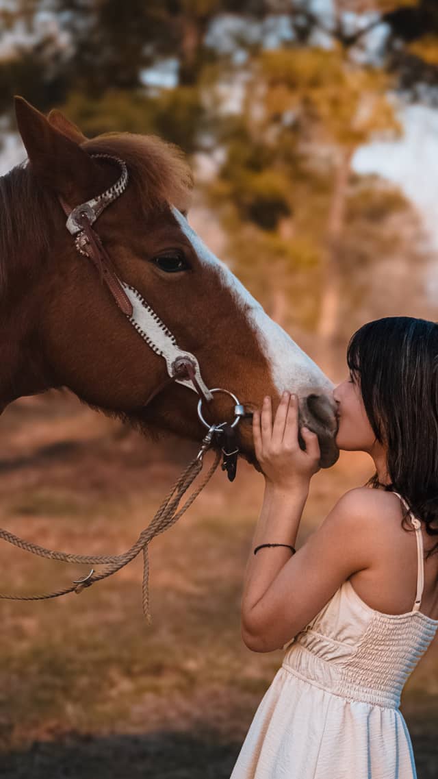 Jonesboro Equestrian Pasture - Image 1