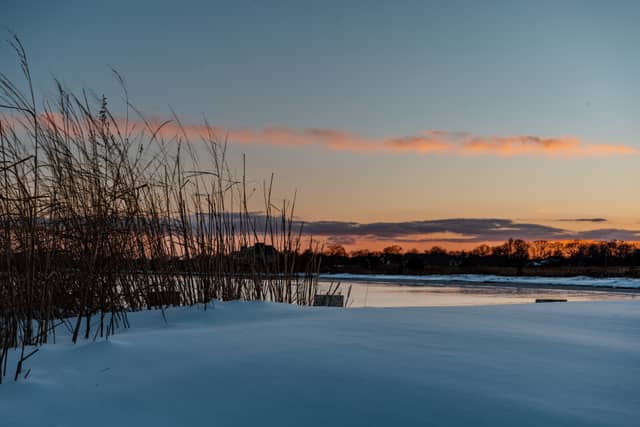 Blue Point Wetlands - Image 1