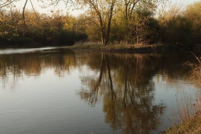 Fox River at Red Oak Nature Center - Image 1
