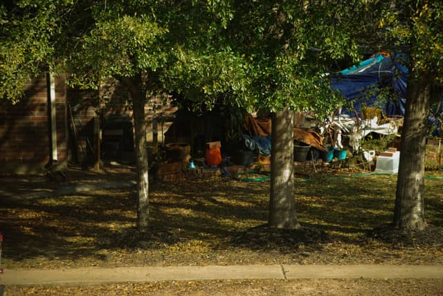 Katy Suburban Yard - Image 1