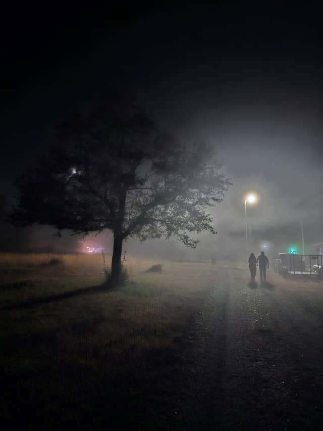 Moss Point Foggy Path - Image 1