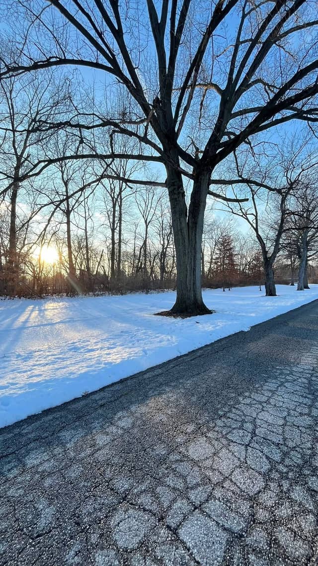 Fairwick Lane Trail - Image 1