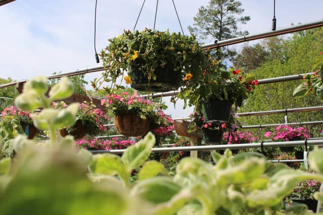 Chesterfield Garden Center - Image 1