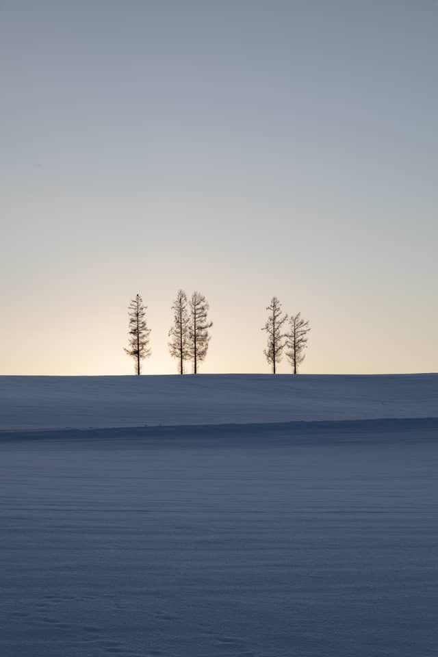 Furano Minimalist Snow Hill - Image 1
