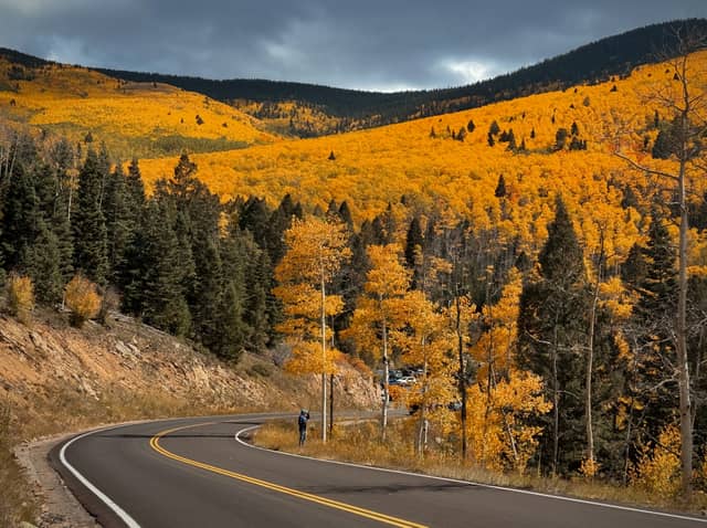 Winding Mountain Pass in Autumn - Image 1