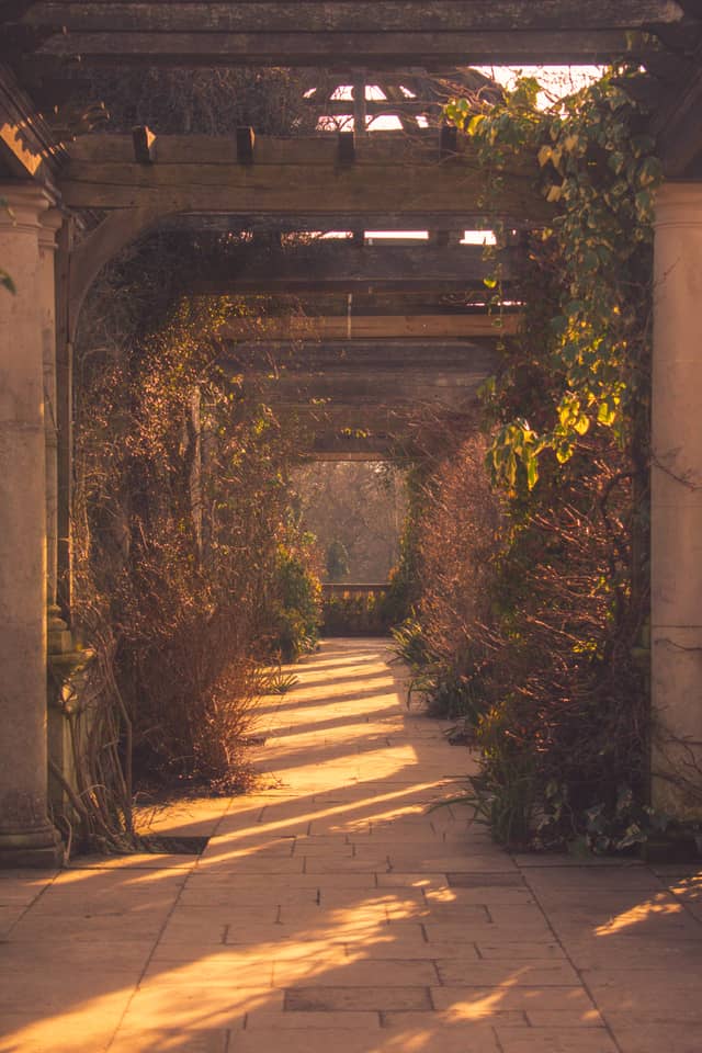 Hampstead Hill Garden and Pergola - Image 1