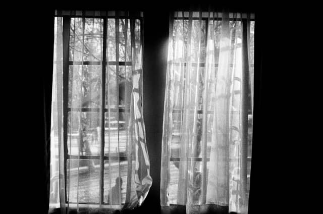 Honeydew Light Study - Image 1
