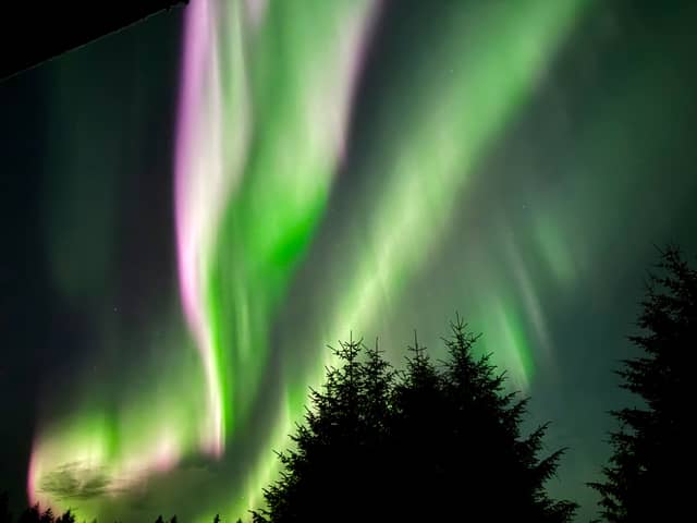 Mendenhall Valley Aurora Overlook - Image 1