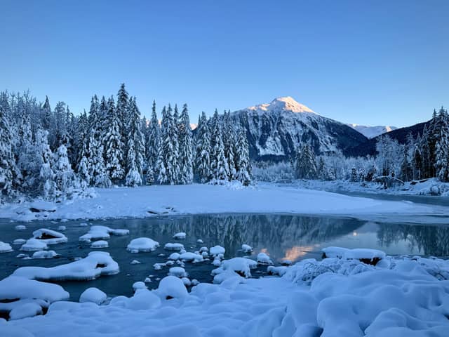 Mendenhall River Viewpoint - Image 1
