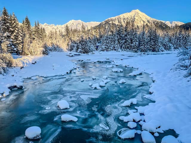 Mendenhall River Winter View - Image 1