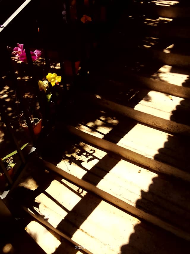 Gelugor Garden Staircase - Image 1