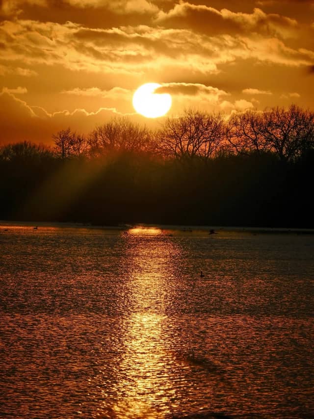 Attenborough Nature Reserve - Image 1