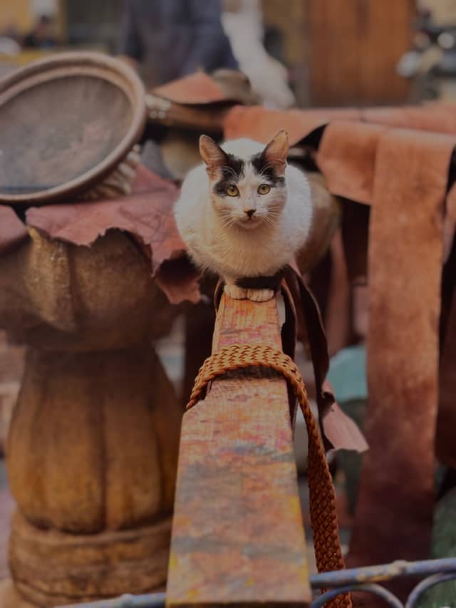 Marrakech Medina Souks - Image 1