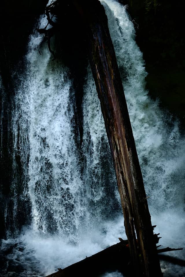 Panther Creek Falls - Image 1