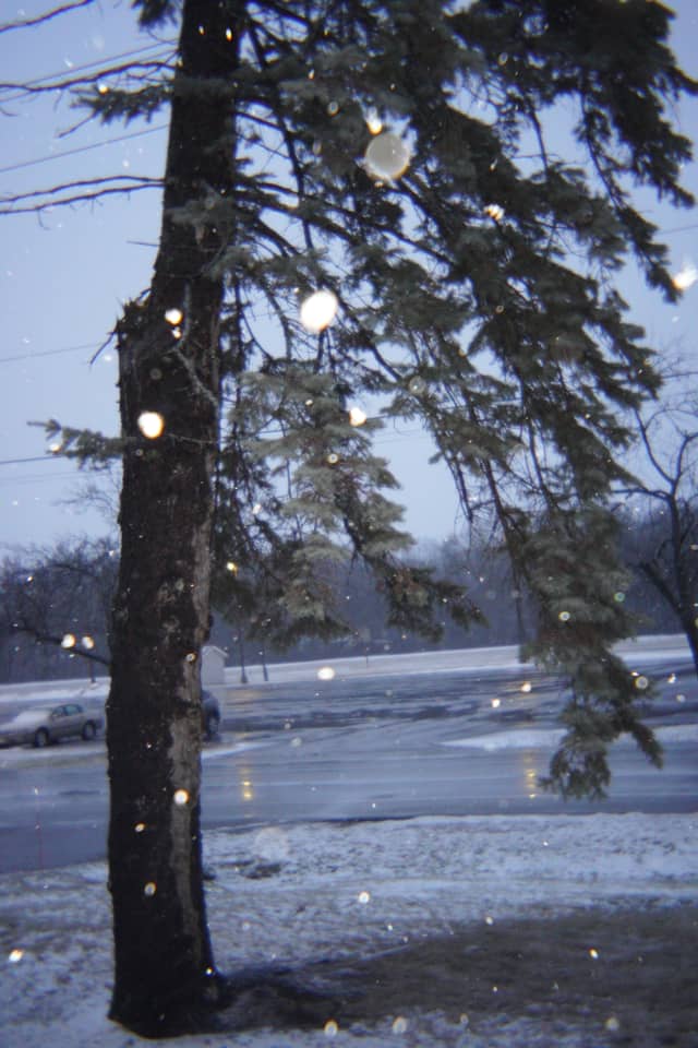 Marinette Campus Grounds - Image 1