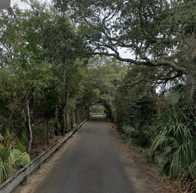 Indigo Plantation Tree Canopy - Image 1