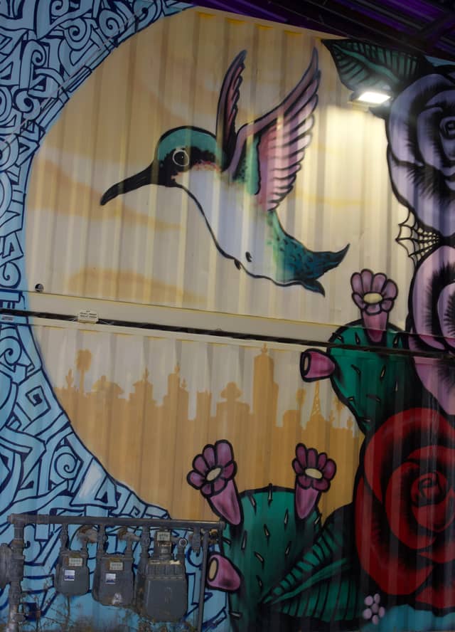 Buckeye Desert Mural - Image 1