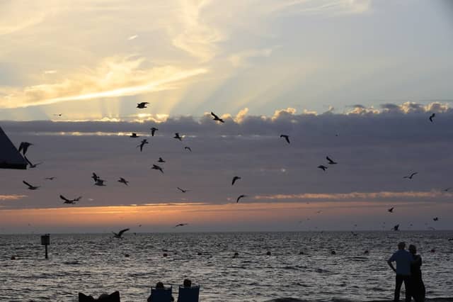 Fort Island Gulf Beach - Image 1