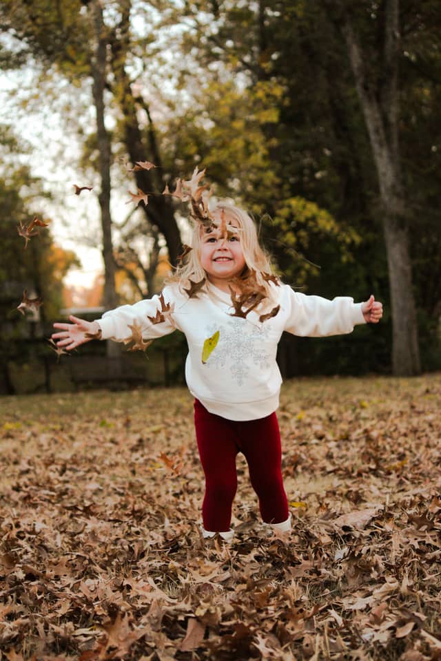 Senatobia Autumn Yard - Image 1
