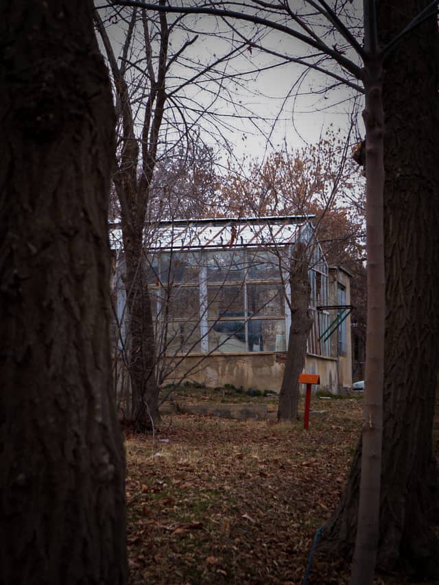 Orumiyeh Garden Silhouette - Image 2