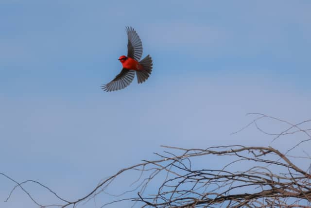 Sweetwater Wetlands Park - Image 1