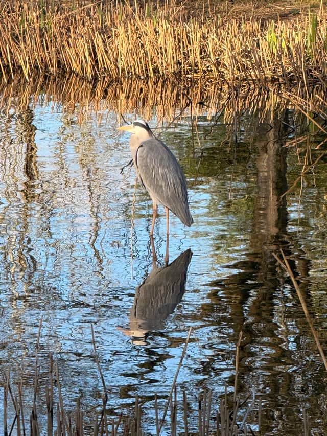 Campbell Park - Image 1