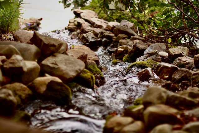 Rocky Stream at Unicoi Street - Image 1
