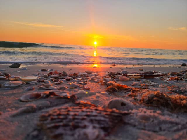 Pass-a-Grille Beach - Image 1