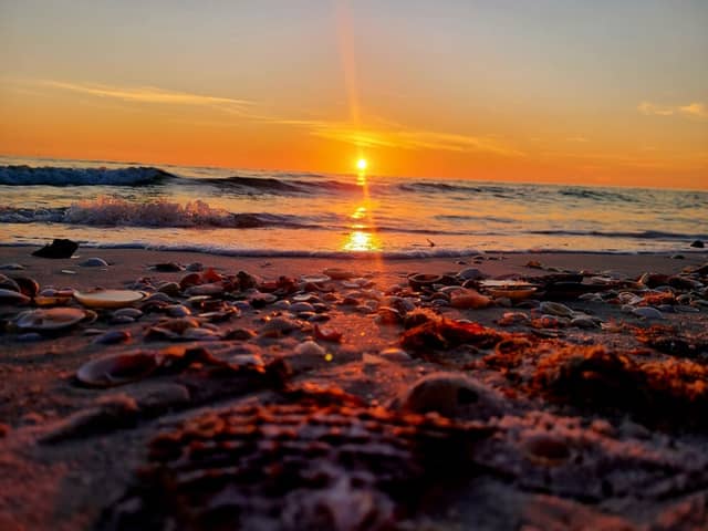 Pass-a-Grille Beach - Image 1