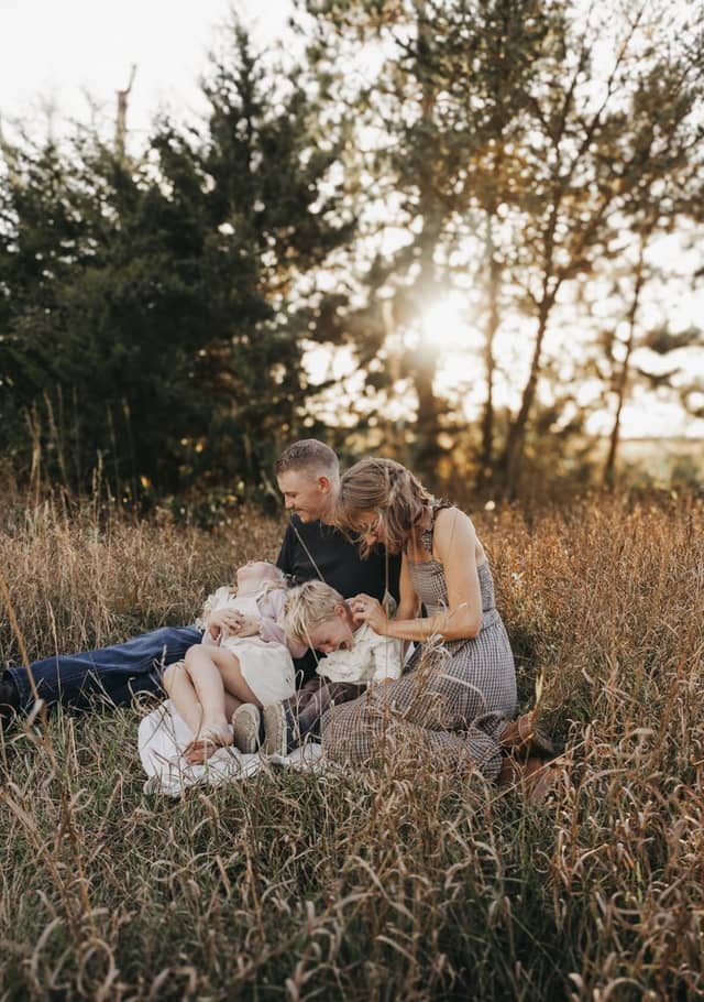 Monticello Meadow Edge - Image 1