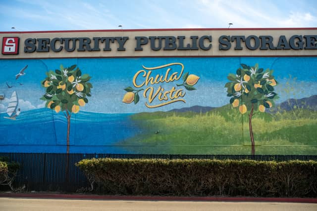 Chula Vista Lemon Mural - Image 1
