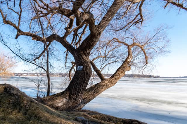 Geneva Lake Shoreline at Fontana - Image 1