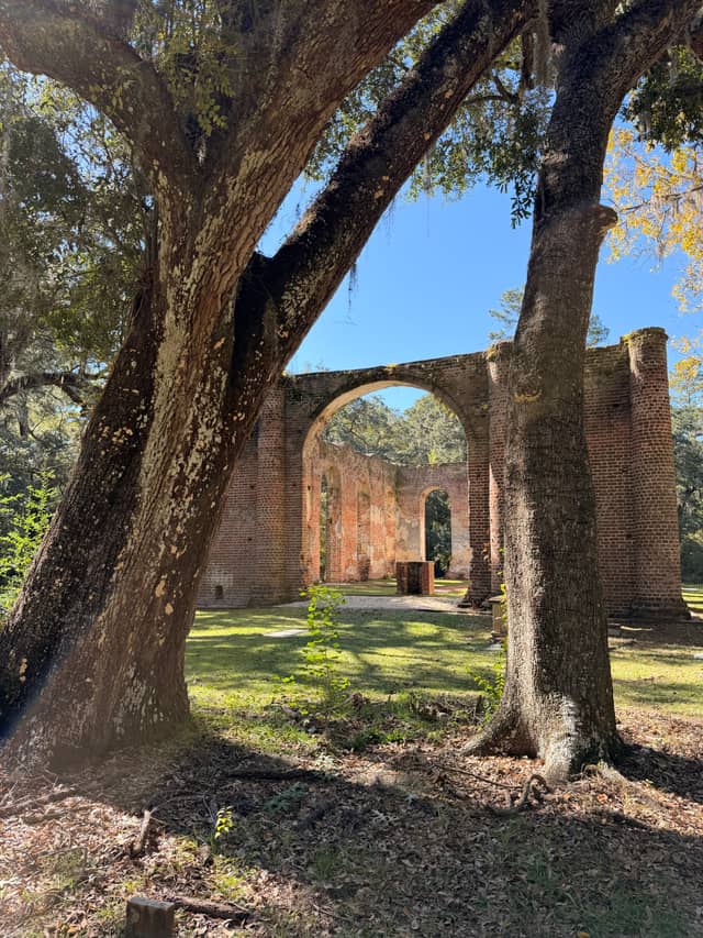 Old Sheldon Church Ruins - Image 1